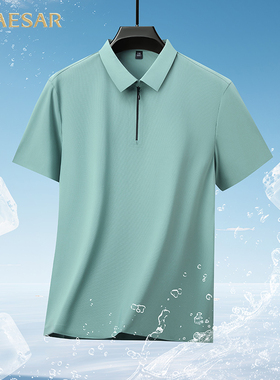 凯撒大帝夏季新款热卖男士凉感冰丝百搭polo领短袖无痕T恤衫上衣J