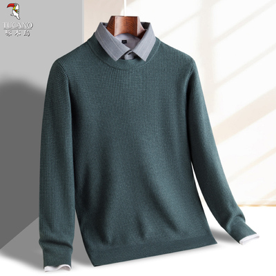 凯撒大帝2025年秋季新款男士纯色休闲百搭中年上衣长袖针织衫J