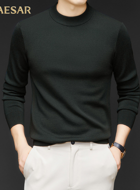 凯撒大帝2025年秋冬季男士纯色休闲时尚圆领中年男士百搭针织衫J
