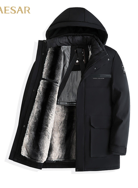 凯撒大帝2025年秋季新款休闲时尚百搭中年连帽上衣保暖棉服男J