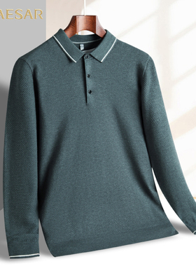 凯撒大帝2025年秋季新款男士翻领休闲时尚百搭长袖上衣针织衫男J