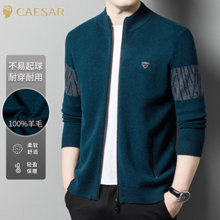 凯撒大帝2025年秋季男士时尚休闲百搭中年商务爸爸装上衣针织衫J