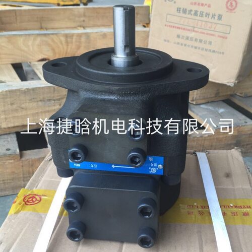 PFE-41029-1DT TZYY 榆次液压 柱销式叶片泵  阿托斯系列油泵