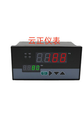 WP-D804-02-23-2H2L-PWP-D804-72-09-2H2L-P智能仪表D803-02