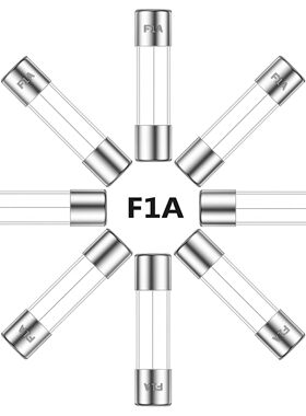 ALLECIN 1A 250V 6x30MM 快速吹制玻璃保险丝 1 安培 250 伏 0.24