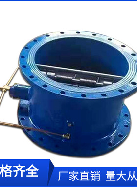 HH49X-10Q大口径蝶式微阻缓闭止回阀DN1400球墨铸铁止回阀DN1200