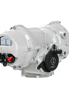 罗托克ROTORK 电动执行器IQ40F25A 144转罗托克执行器IQT250F10B4