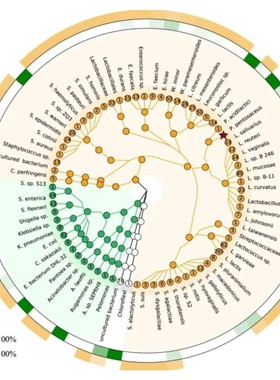 scif作图,graphpad prism作图,科研作图,Origin,绘图,pcr数据