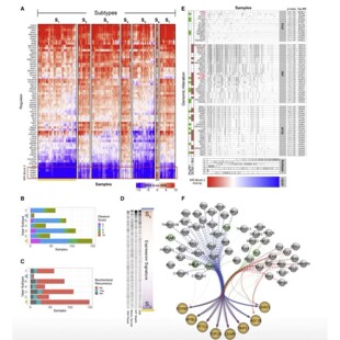 免疫组化 RNA 基础实验Protocol blot qRTPCR Dot 细胞