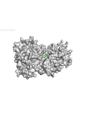 分子对接 分子动力学模拟 Autodock分子对接 PyMOL可视化