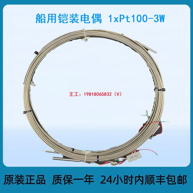 船用铠装电偶 1xPt100-3W