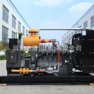 800 燃气发电机组 600 1000殖K组W千瓦发电0机养30KW场备 400