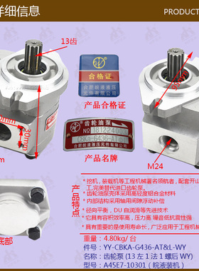 叉车配件批发齿轮泵(13左1法1螺后WY)CBKA-G436-AT&L