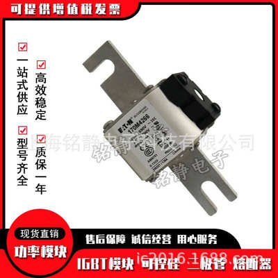 170M4063 170M4064 170M4065 170M4066巴斯曼熔断器170M4067