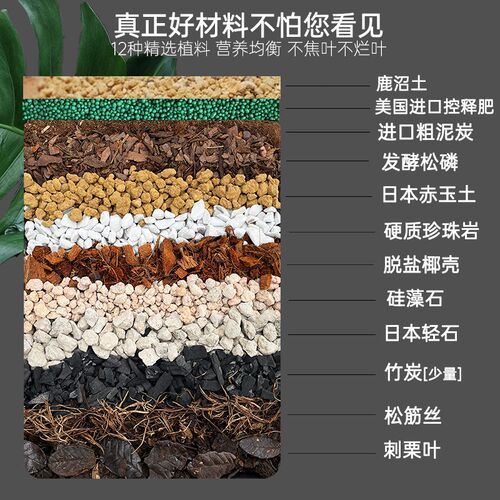 龟背竹专用土天南星科热植营养土花烛蔓绿绒海芋秋海X棠春羽泥炭