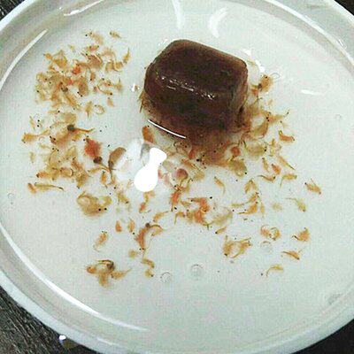 冰冻冷冻丰年虾幼鱼小q型鱼金鱼罗汉七彩牛心汉堡饲料虾干观赏鱼
