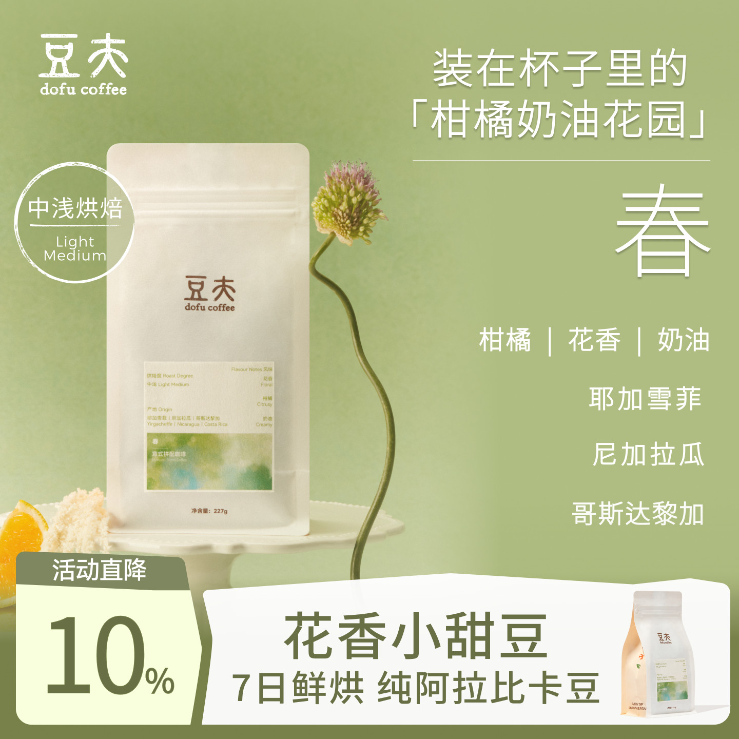 豆夫【春】柑橘果香浅烘咖啡豆进口意式拼配精品耶加雪菲7日鲜烘