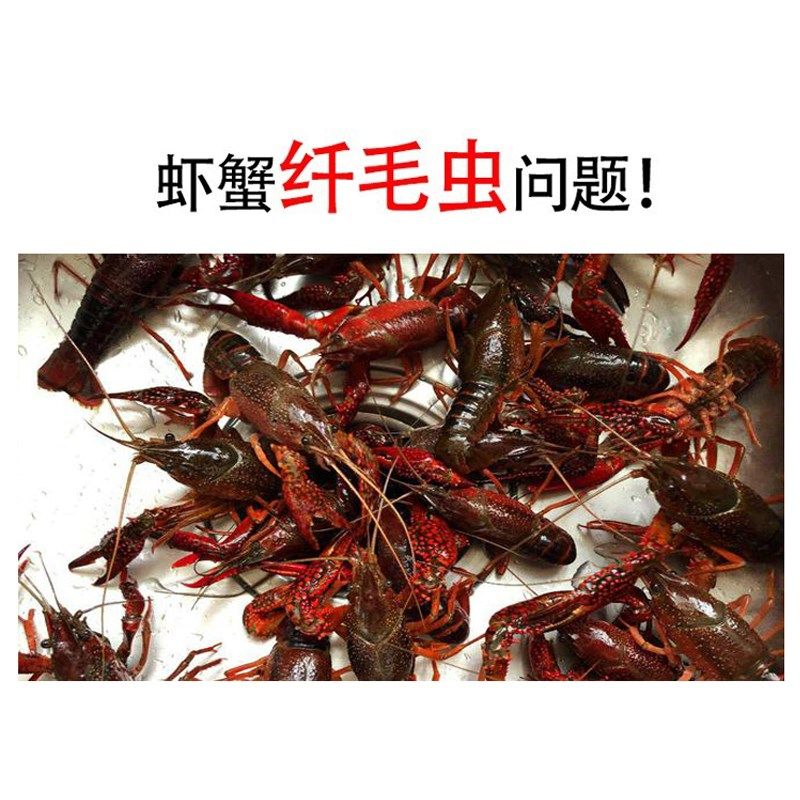 精选海富纤虫速净水产养殖杀灭水体聚缩虫钟形虫纤毛虫杀虫药鱼虾,畜牧/养殖物资,水质调节剂,淘宝优惠券,粉丝福利购,淘宝优惠卷