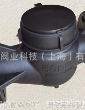 PPVC P 耐弱酸碱 环保塑料水表兰塑料300法水表ND50 2寸法兰水表