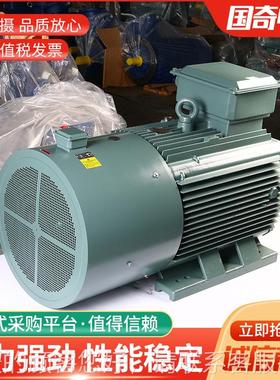 变频电动机YVP-315Y2VP-315M6-90-W变频电机纯2铜变频电动机