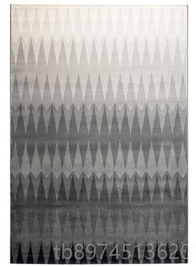 正品D高ammi 进口客简厅卧室地床毯灰色美式轻奢北欧现代约端房间