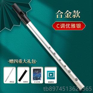 正品爱尔哨笛竖六孔C调D高低音初学调者笛入门金属笛子演奏兰直笛