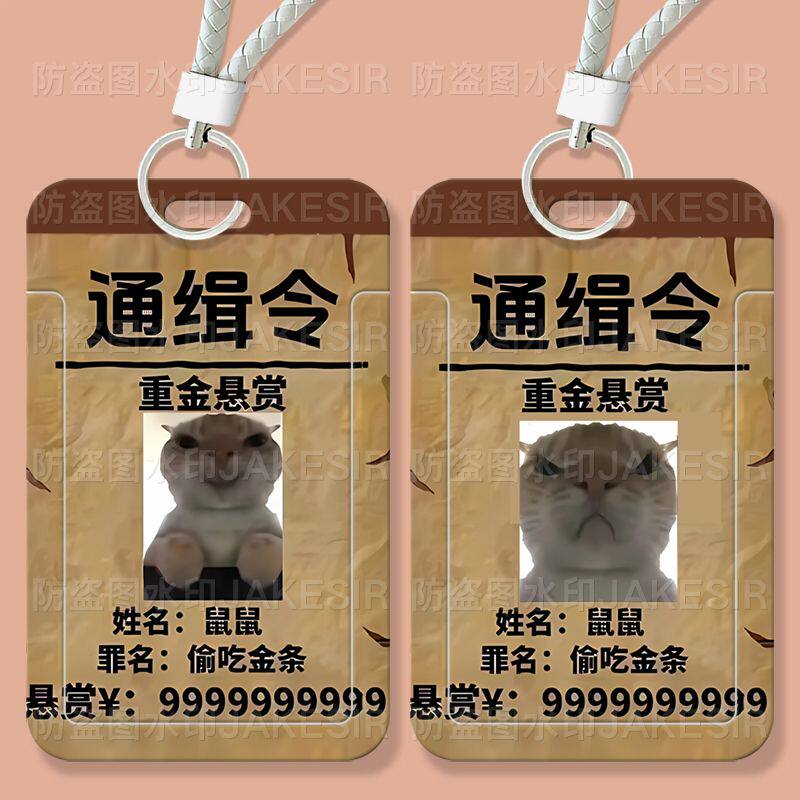 歪嘴小猫搞怪学生滑盖卡套饭公交