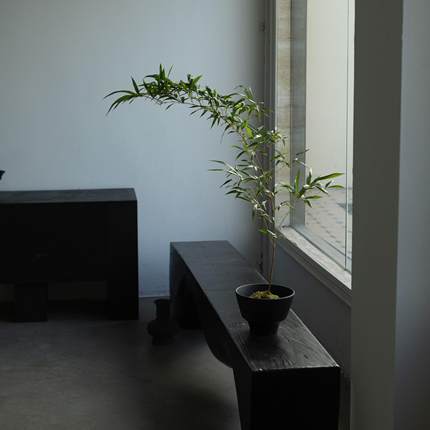 诗与自然 金丝竹子中式禅意风格绿植茶桌书房植物盆景小众景观