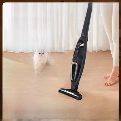 伊莱克斯/ElectroluxWQ61-1OGG无线吸尘器手持大吸力家用全屋吸尘