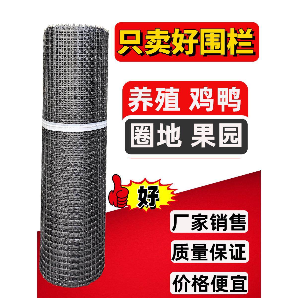 养鸡网塑料网围栏网护栏网隔离网户外养殖网拦鸡网栅栏菜园防护网