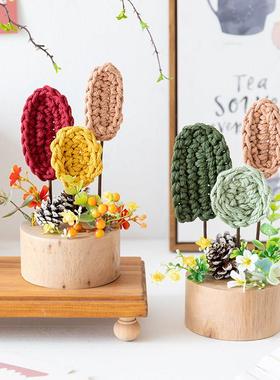 阿楹 微景观手工艺小摆件幼儿园家长会教室签到台 创意自然角装饰