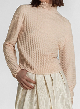 素芭时尚波浪绞花毛衫女士冬季立体感气质百搭保暖高领上衣SS0858