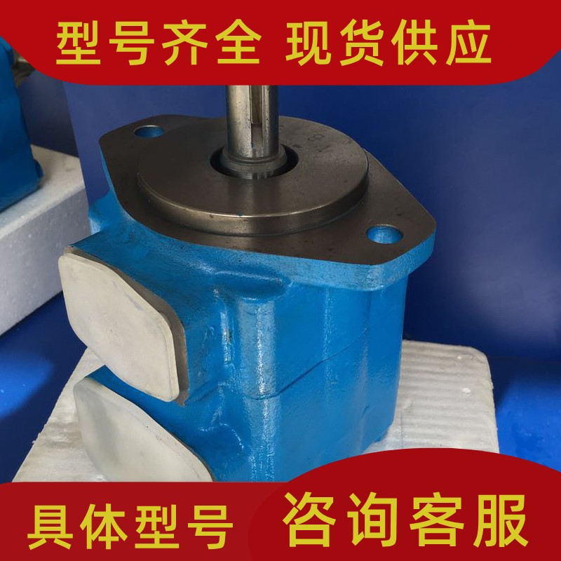 VICKERS 美国 威格士 叶片泵 20V-2A/5A/8A/9A-1A/1B/1C/1D-22R