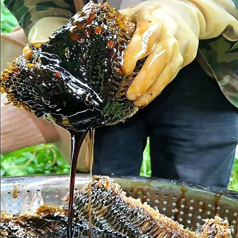 到手四斤悬崖黑蜂蜜压榨过滤纯正自然成熟可蜂蜜茶饮料1