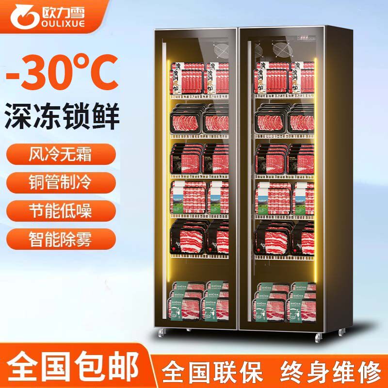 欧力雪商用立式冰柜肉类牛排榴莲食品低温速冻柜保鲜冷冻展示柜
