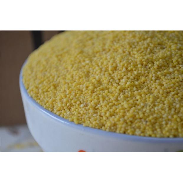 山东农家自产黄小米 新米粮食小米250g 五谷杂粮小黄米