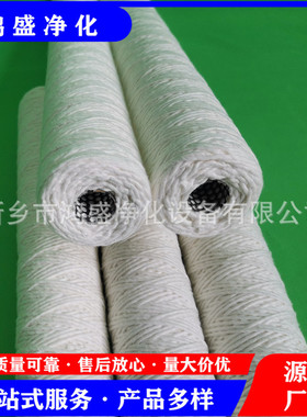 过滤器备件粗滤芯CLX-75 配KZTZ-2型再生脱水装置用5μM