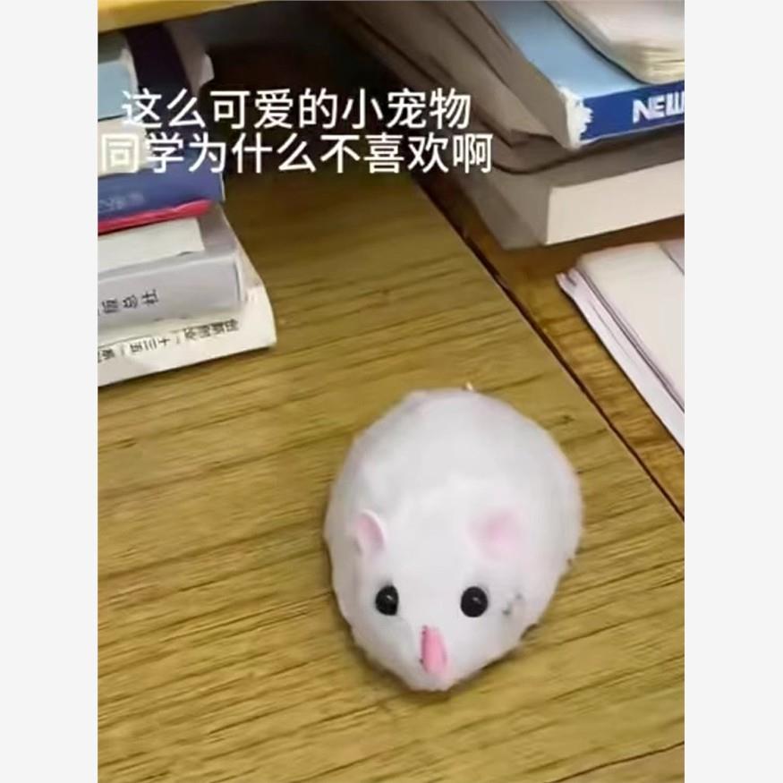 遥控老鼠抽象小玩意解压逗猫玩具仿真电动趣味整蛊玩具旋转小老鼠