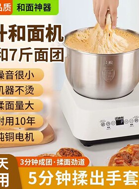 和面机绞肉机一体机全自动