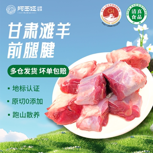 羊肉阿西娅羊小羊腿前腿腱切块国家地标产品滩羊靖远羊羔肉清真
