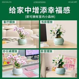 好y养客厅阳台办公室工位桌面旺宅植 石斛兰花卉绿植室内盆栽四季