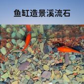 溪流石造景底砂鱼缸n免洗天然溪流沙南美水草缸原生电龙净水鱼底