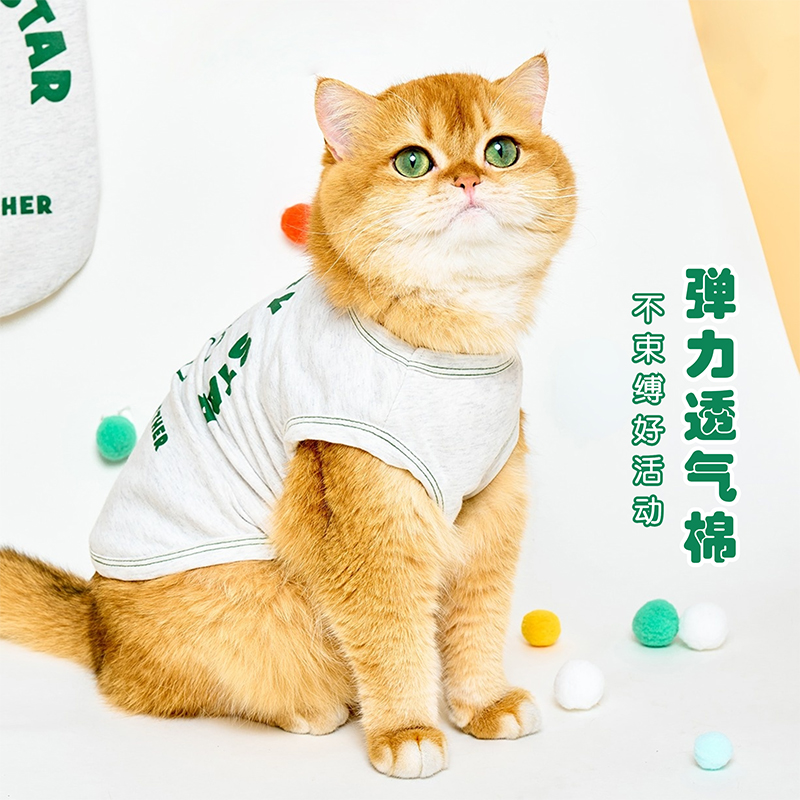 猫咪衣服夏季薄款防掉毛小猫咪背心宠物服装秋装幼猫X2个月金渐层