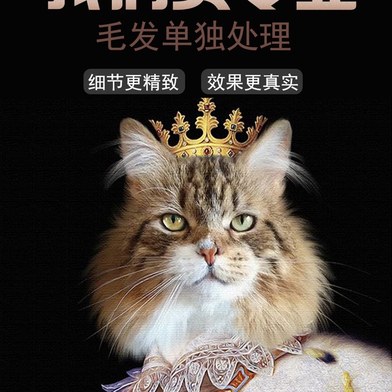 diy定制自家猫咪狗狗宠物装饰画丙烯数字J油画照片合成DIY上色油图片