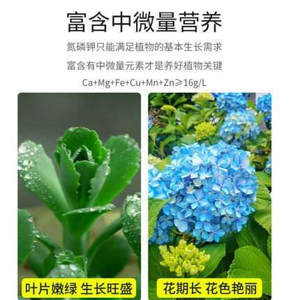 植物营养液通用型浓缩绿q植多肉绿萝土培水培盆栽花卉花肥液体肥