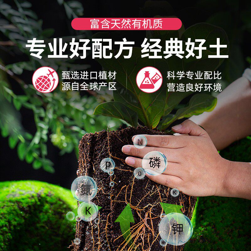 施可丰营养土养花肥料多肉专用土种菜盆栽家用通用型土.壤有机花