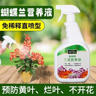 蝴蝶兰营b养液兰花营养液蝴蝶兰专用肥蝴蝶兰肥料专用肥兰花专用