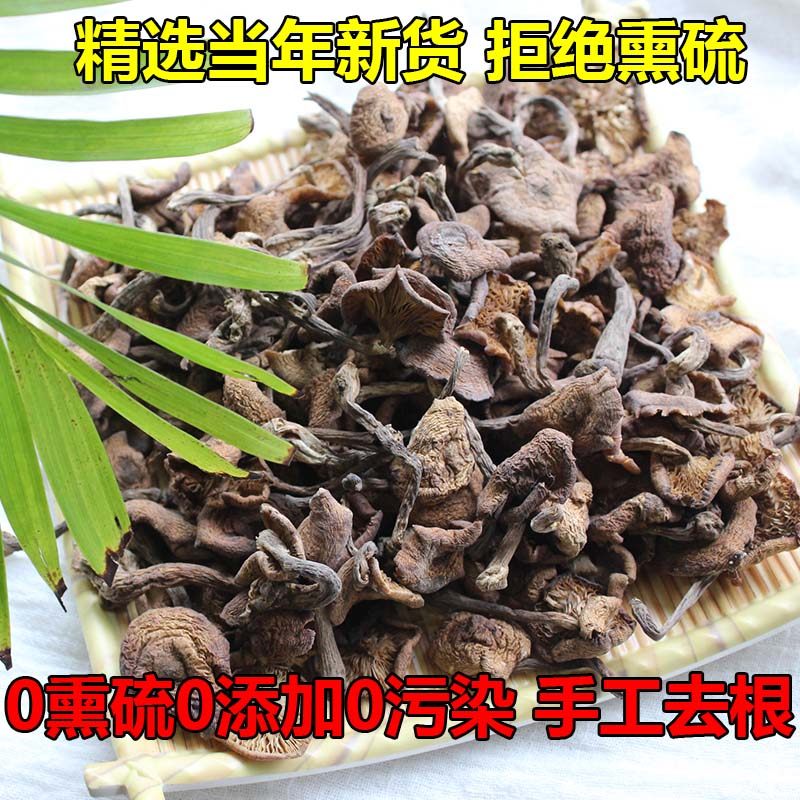 东北特产纯野生榛蘑干货野生长白山正宗小鸡炖蘑菇新鲜特级小榛蘑