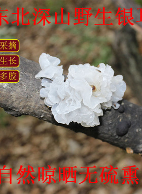 野生银耳东北山区纯天然雪耳干货特级无硫孕妇糯丑耳燕窝莲子羹