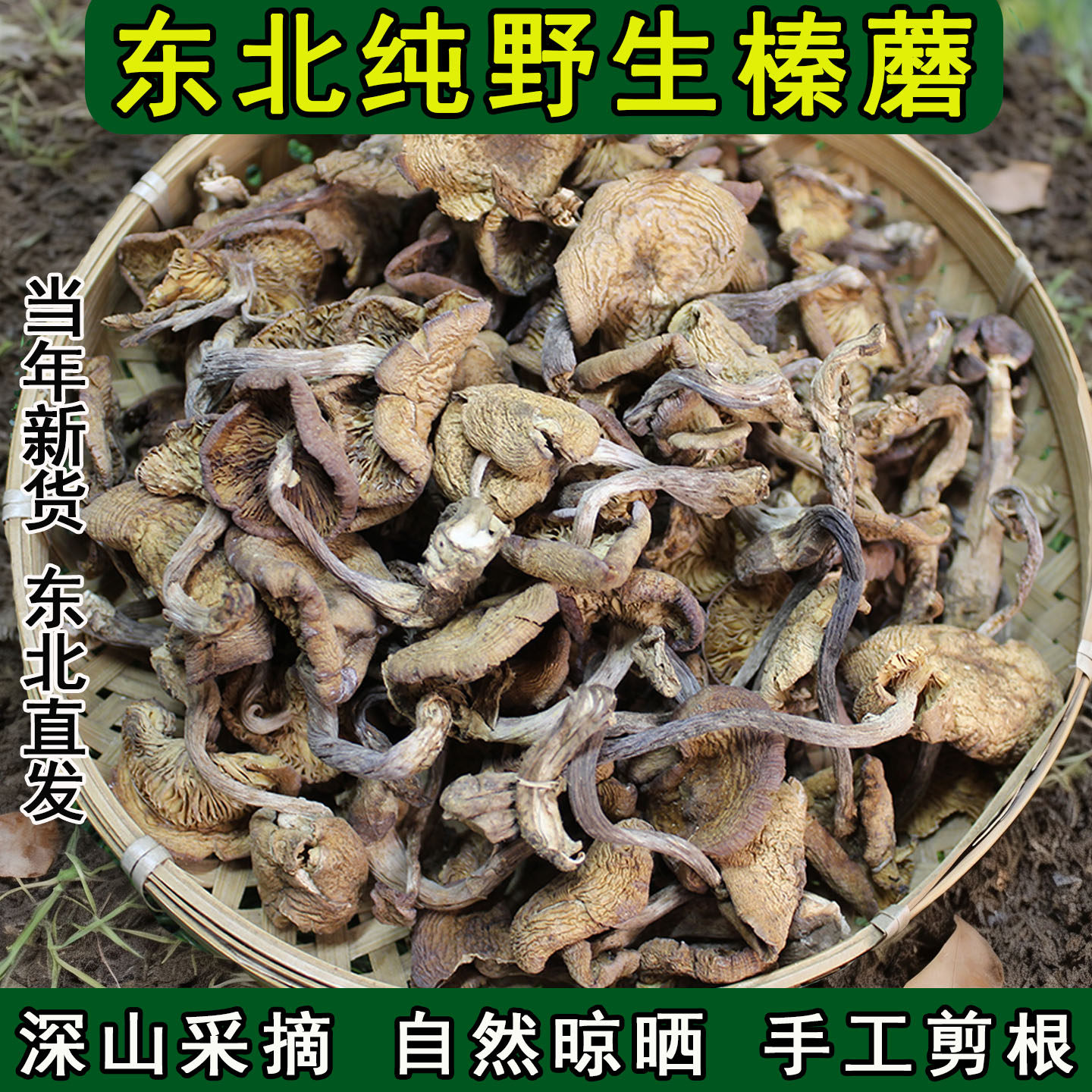 东北特产纯野生榛蘑干货野生长白山正宗小鸡炖蘑菇新鲜特级小榛蘑